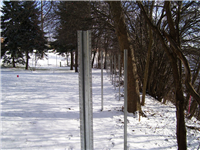 Fence Gallery Photo - Steel Posts for Wood 7.jpg